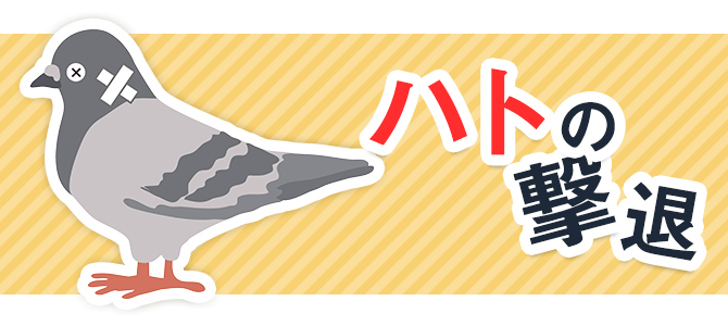 ハトの撃退