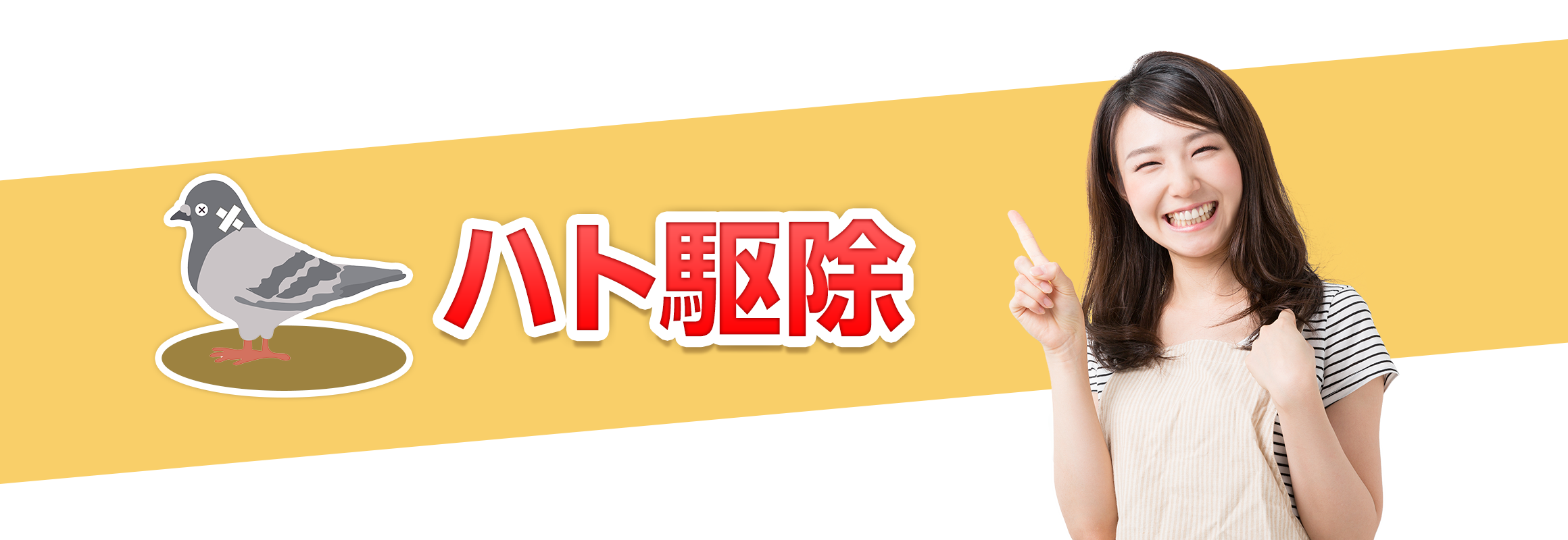 ハト駆除