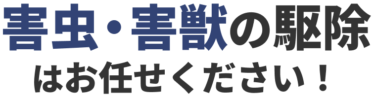 害虫・害獣の駆除はジェットクリーンにお任せください!